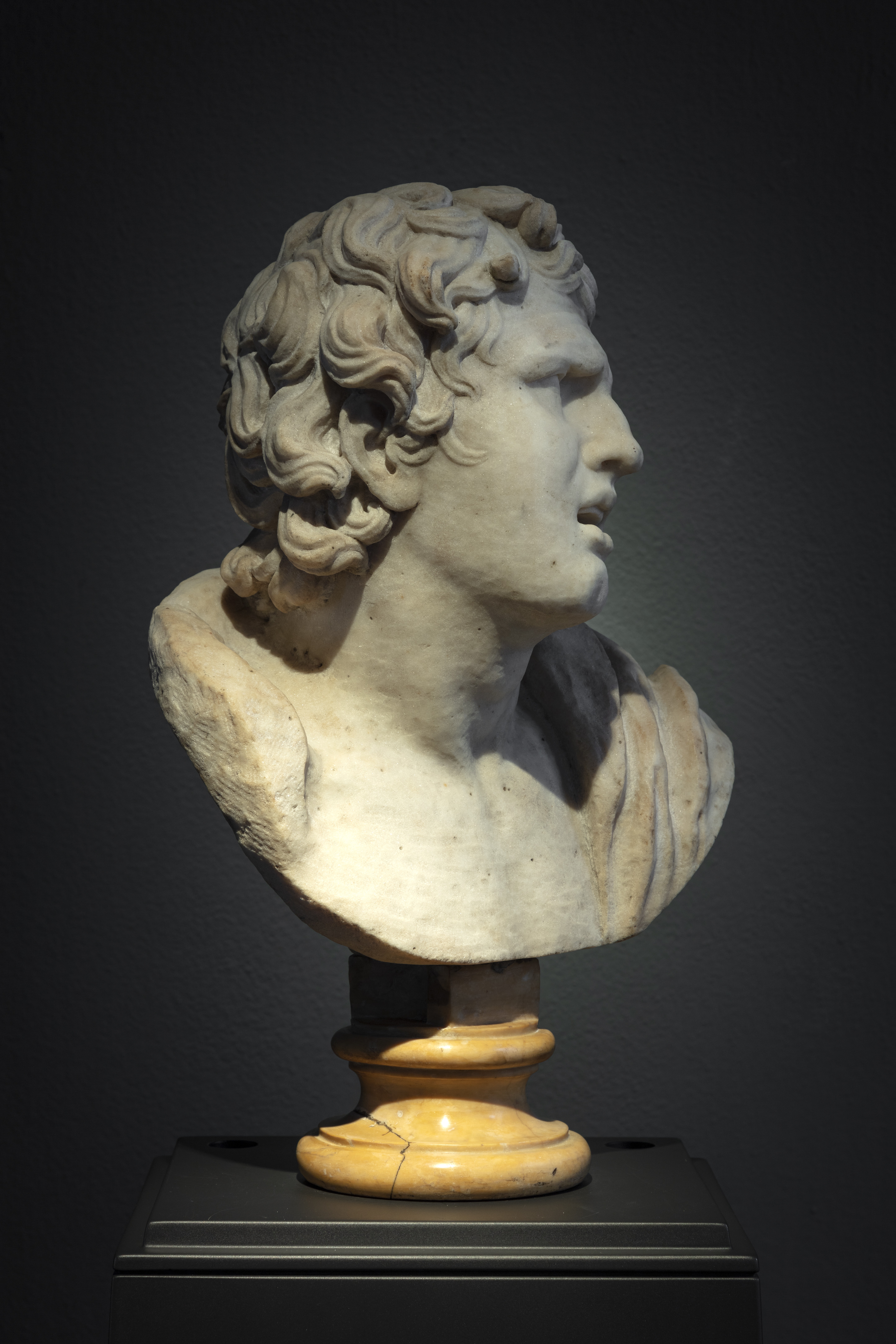 Testa di Alessandro morente copia